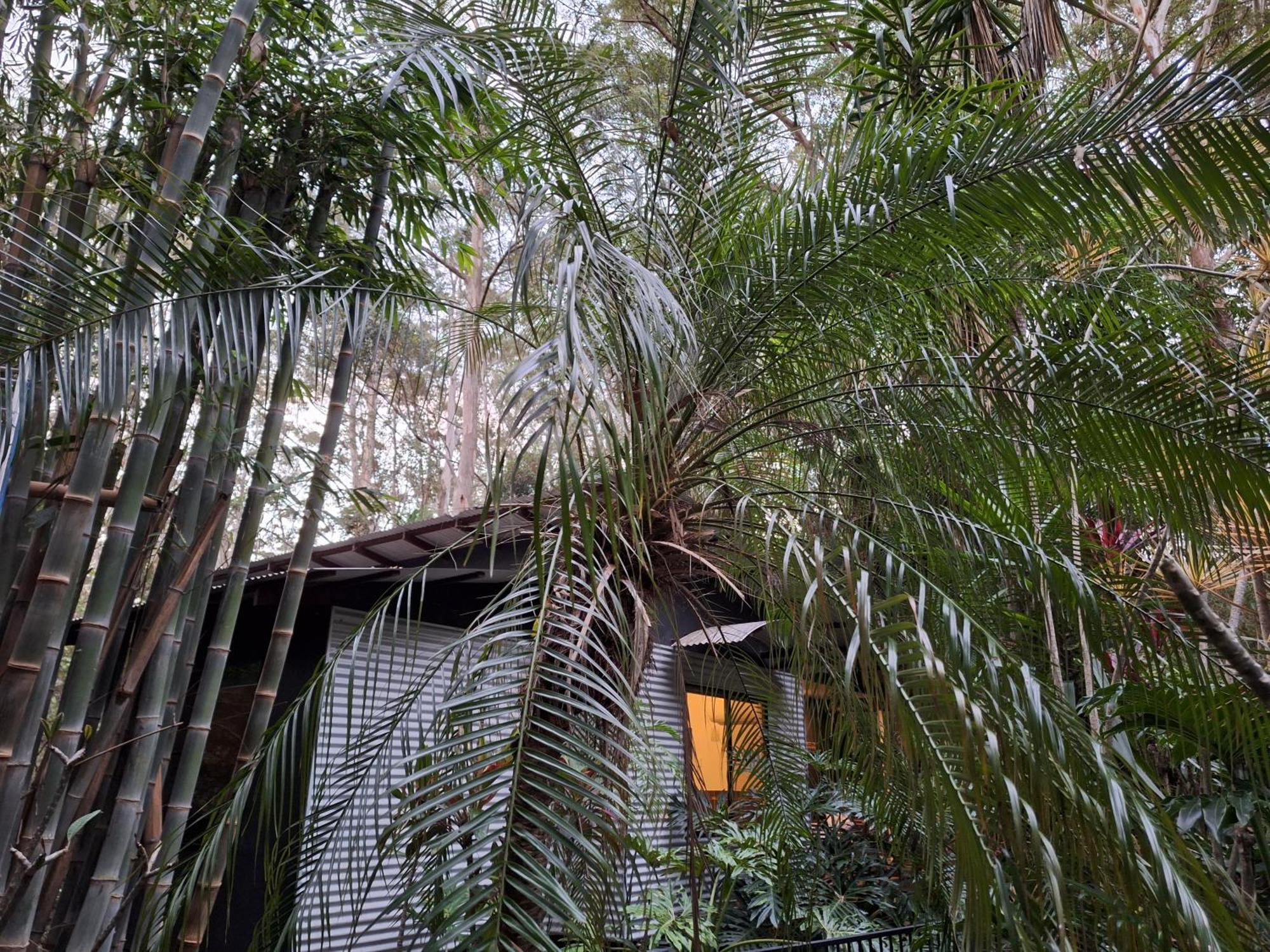 Eudlo アラヤ エスケープ Bed & Breakfast エクステリア 写真